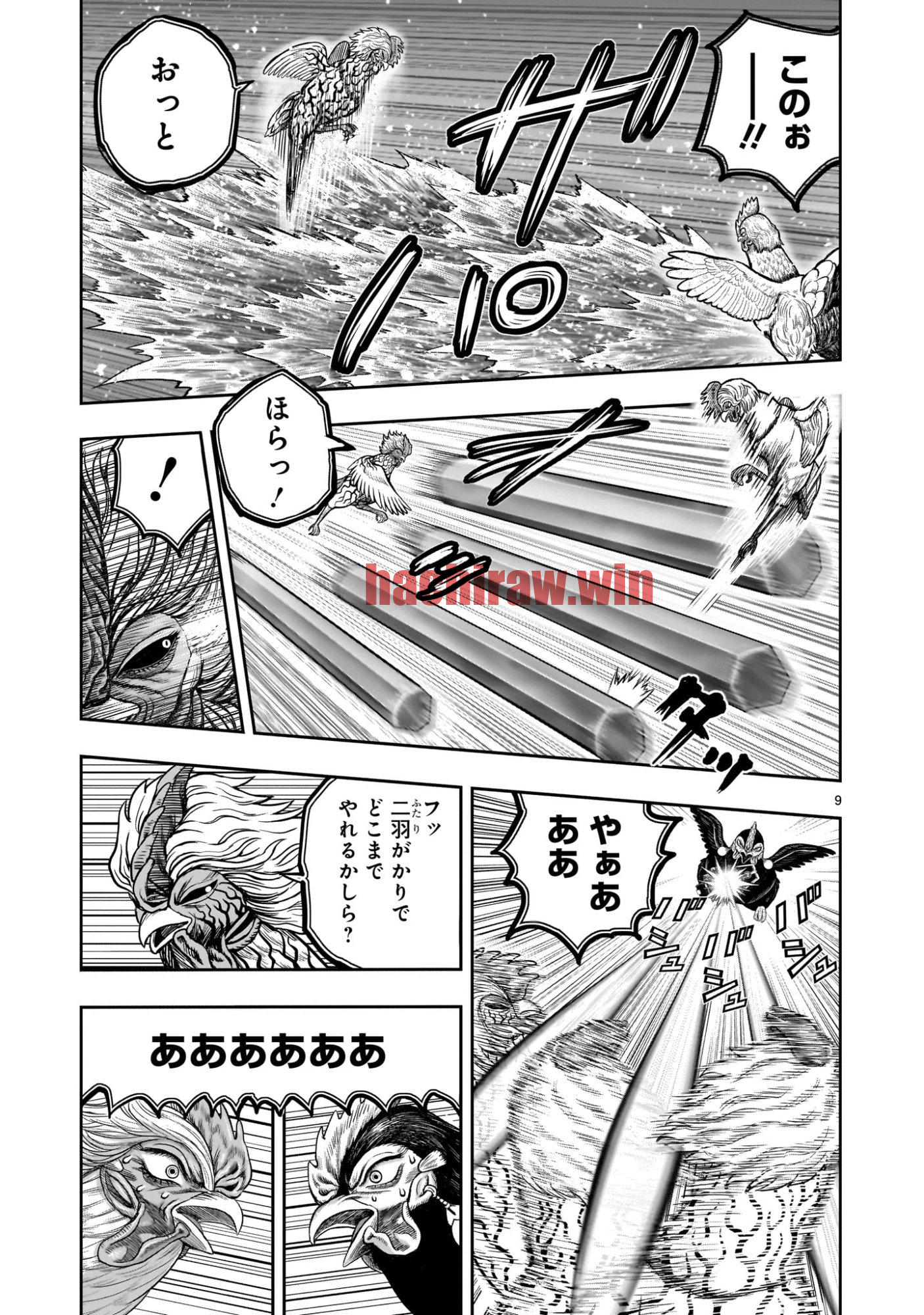 img 9