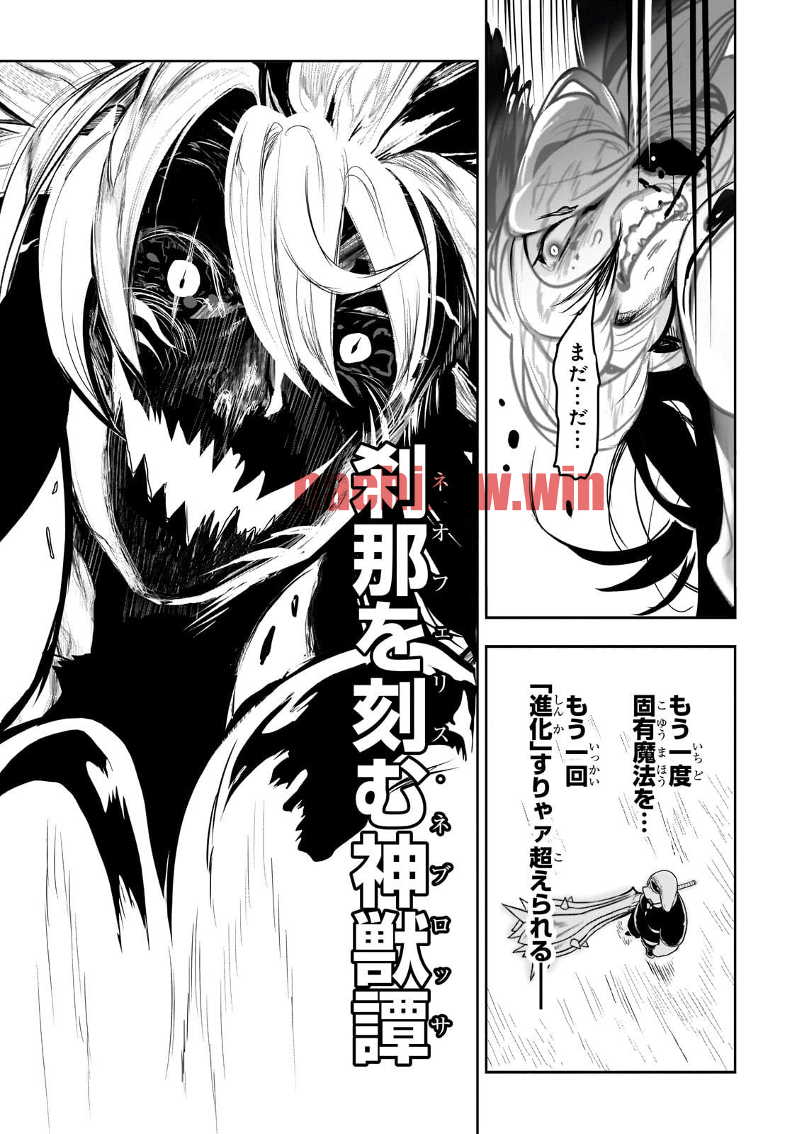 img 20