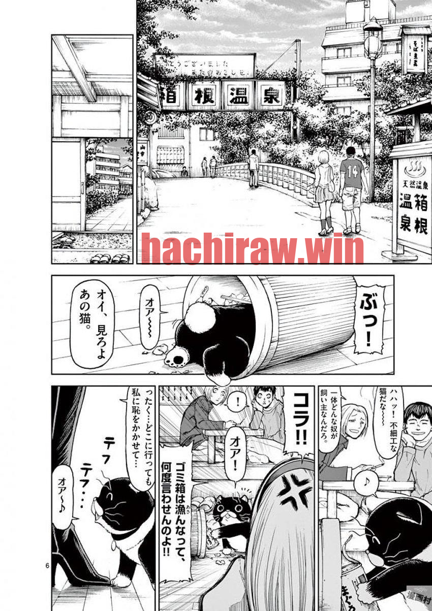 img 5