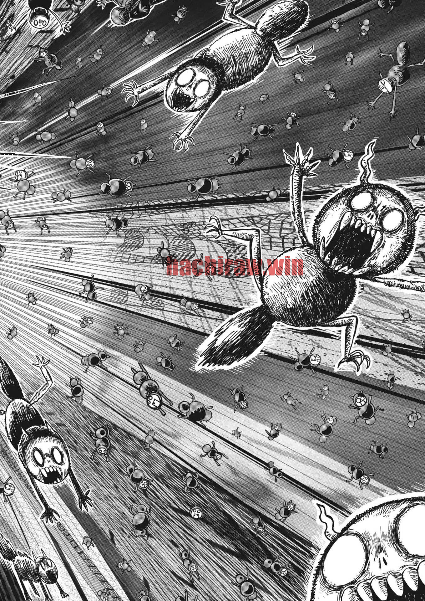 img 21
