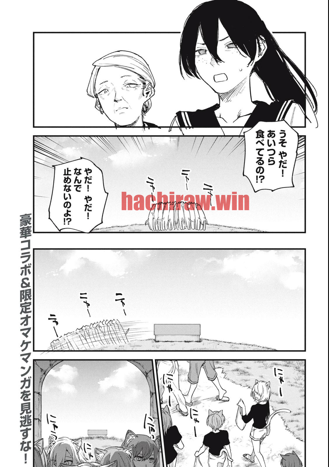 img 4