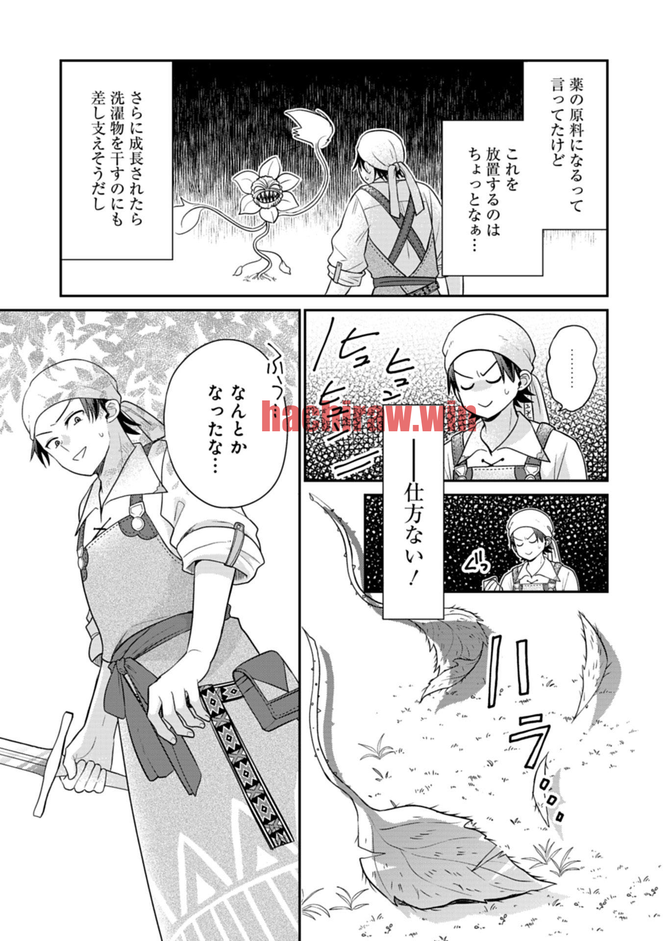 img 11