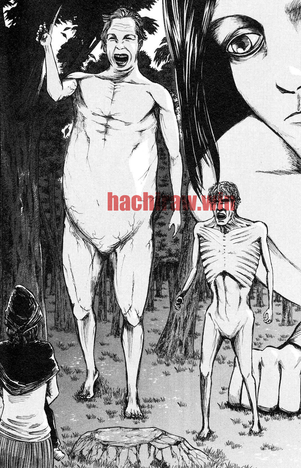 img 3