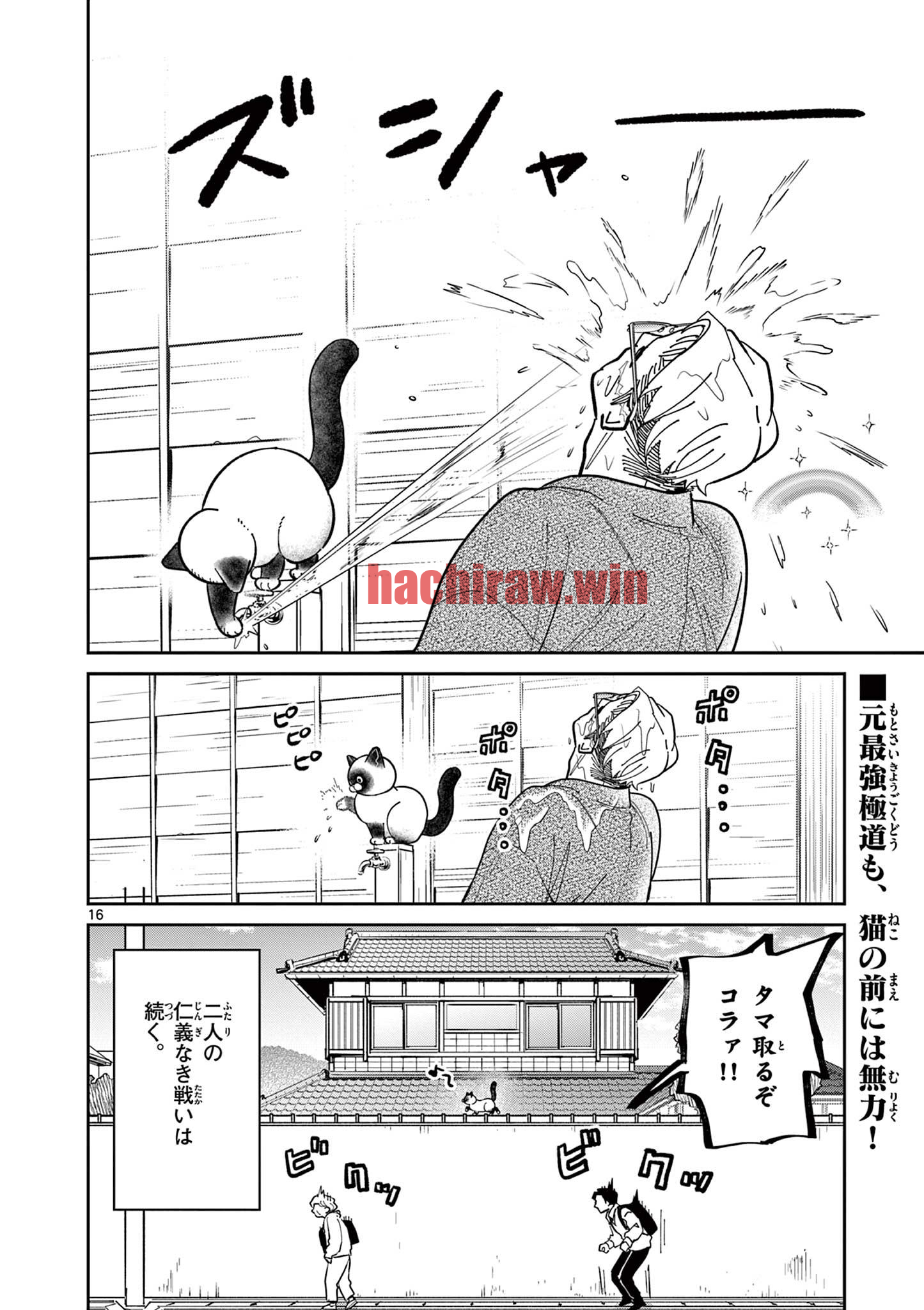 img 15
