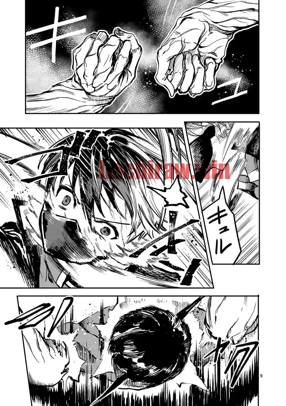 img 8