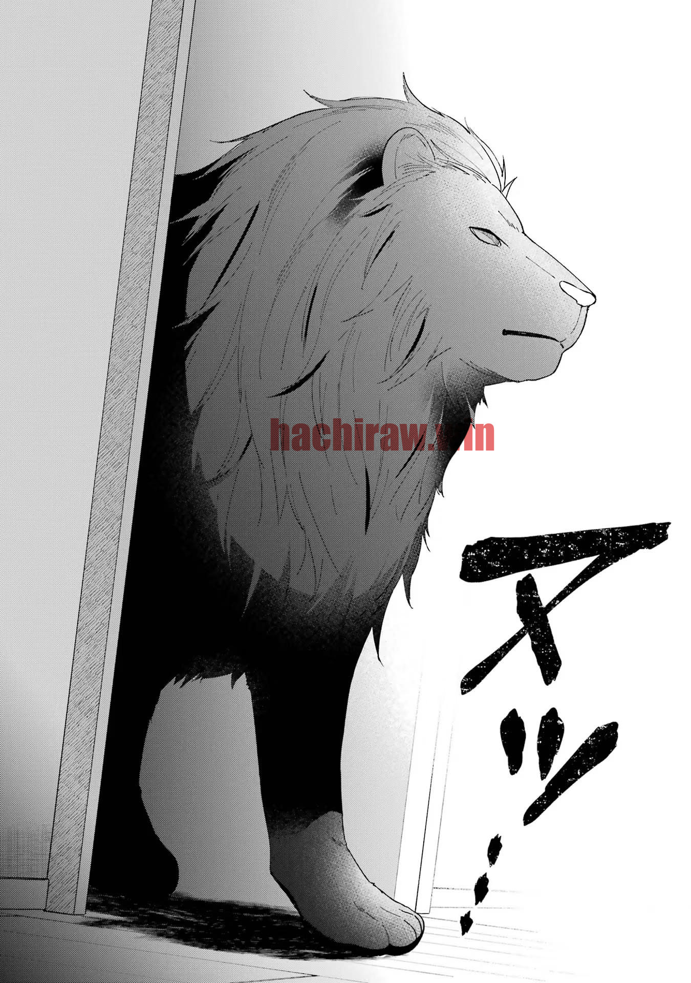 img 19