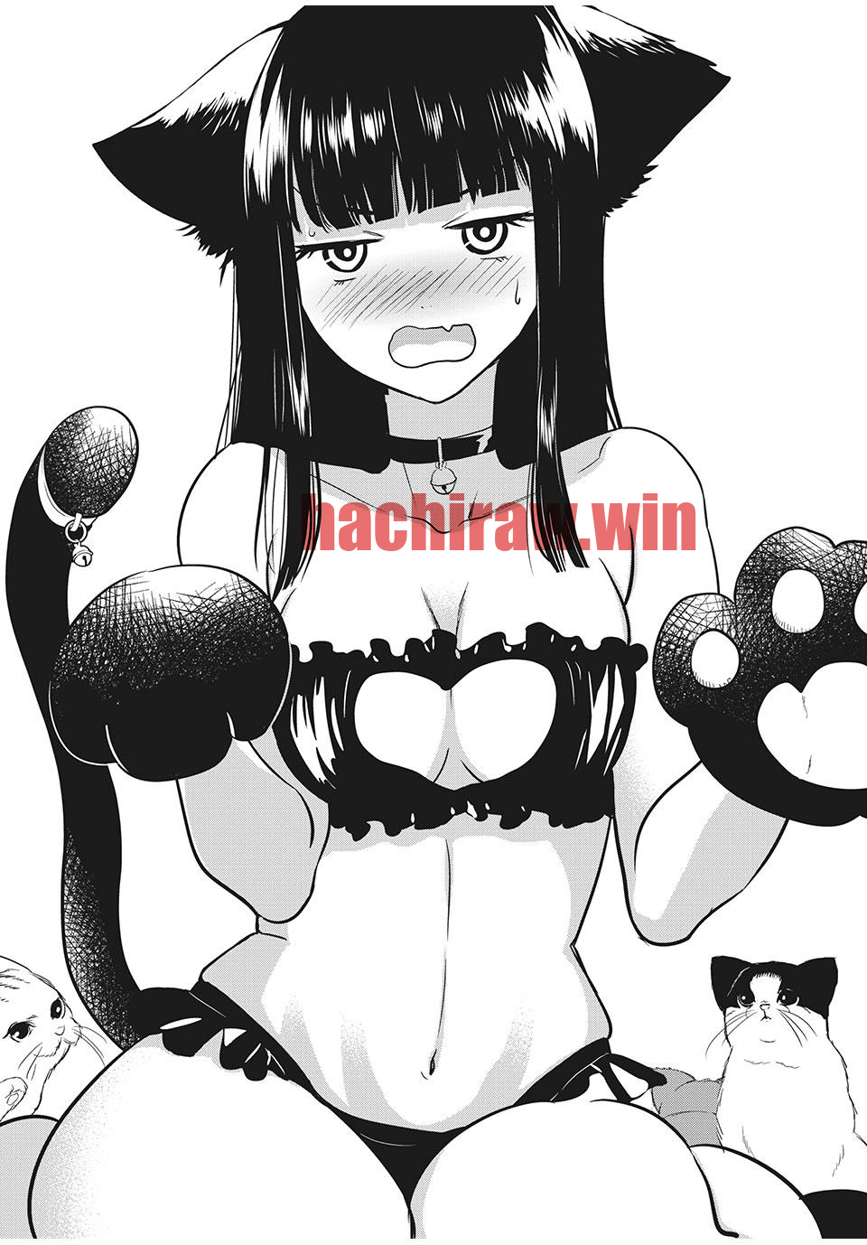 img 0