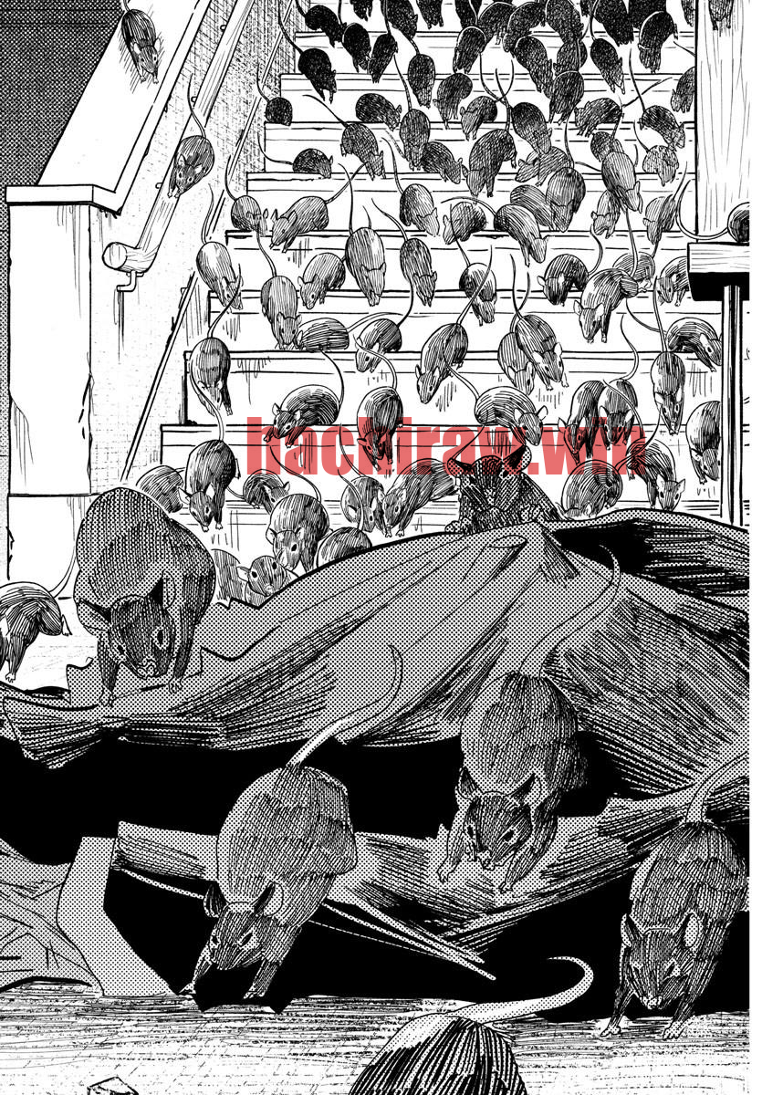 img 16