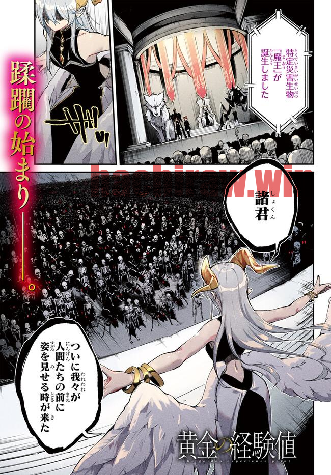 img 0