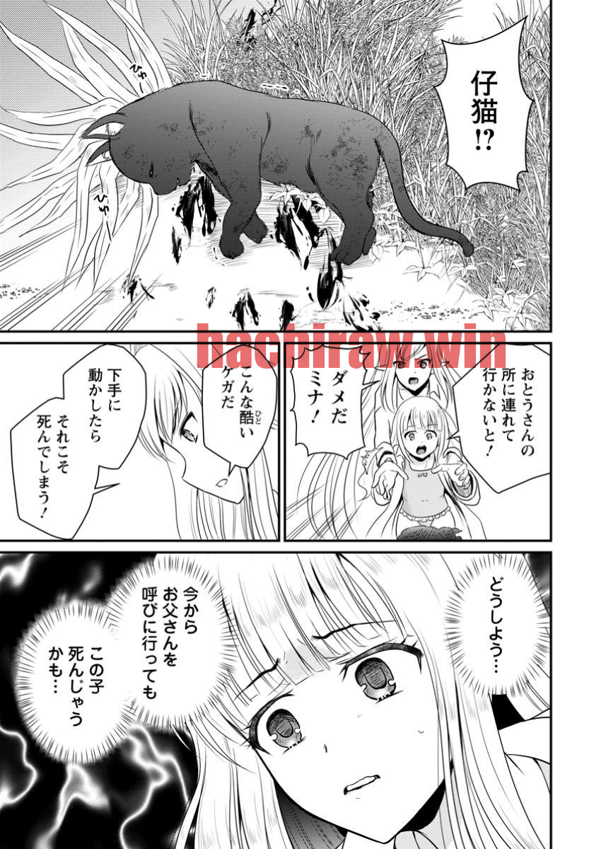 img 8