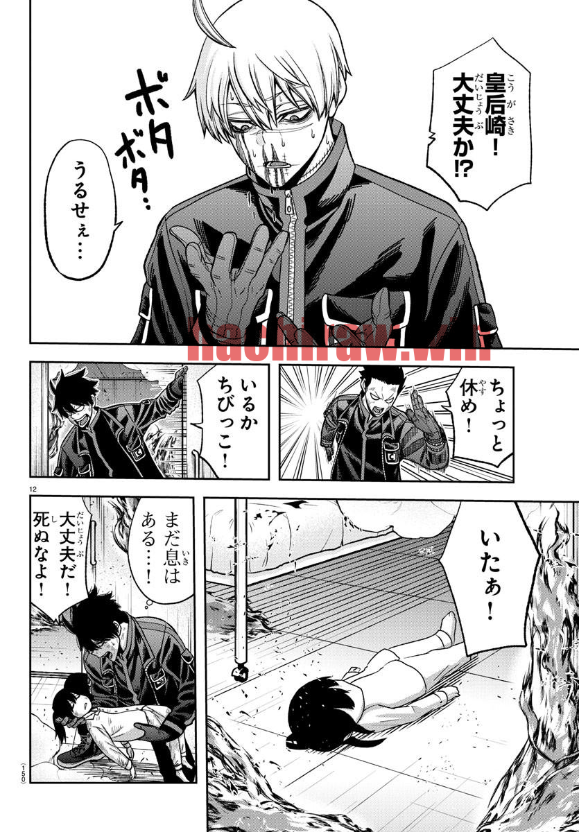 img 11