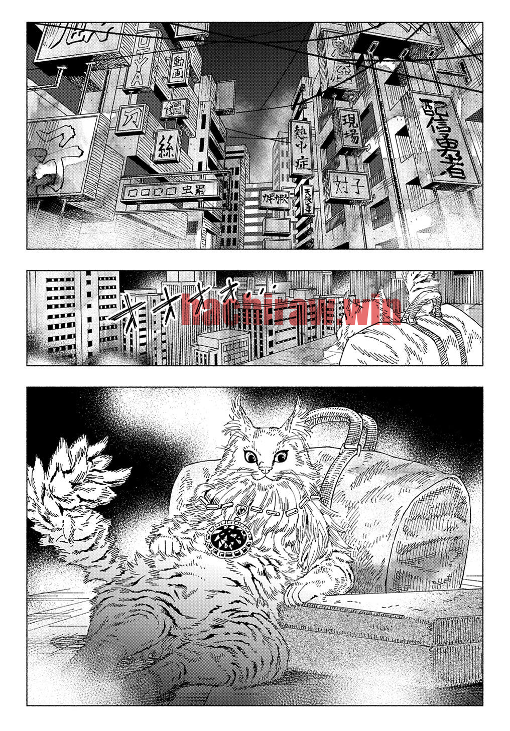 img 23