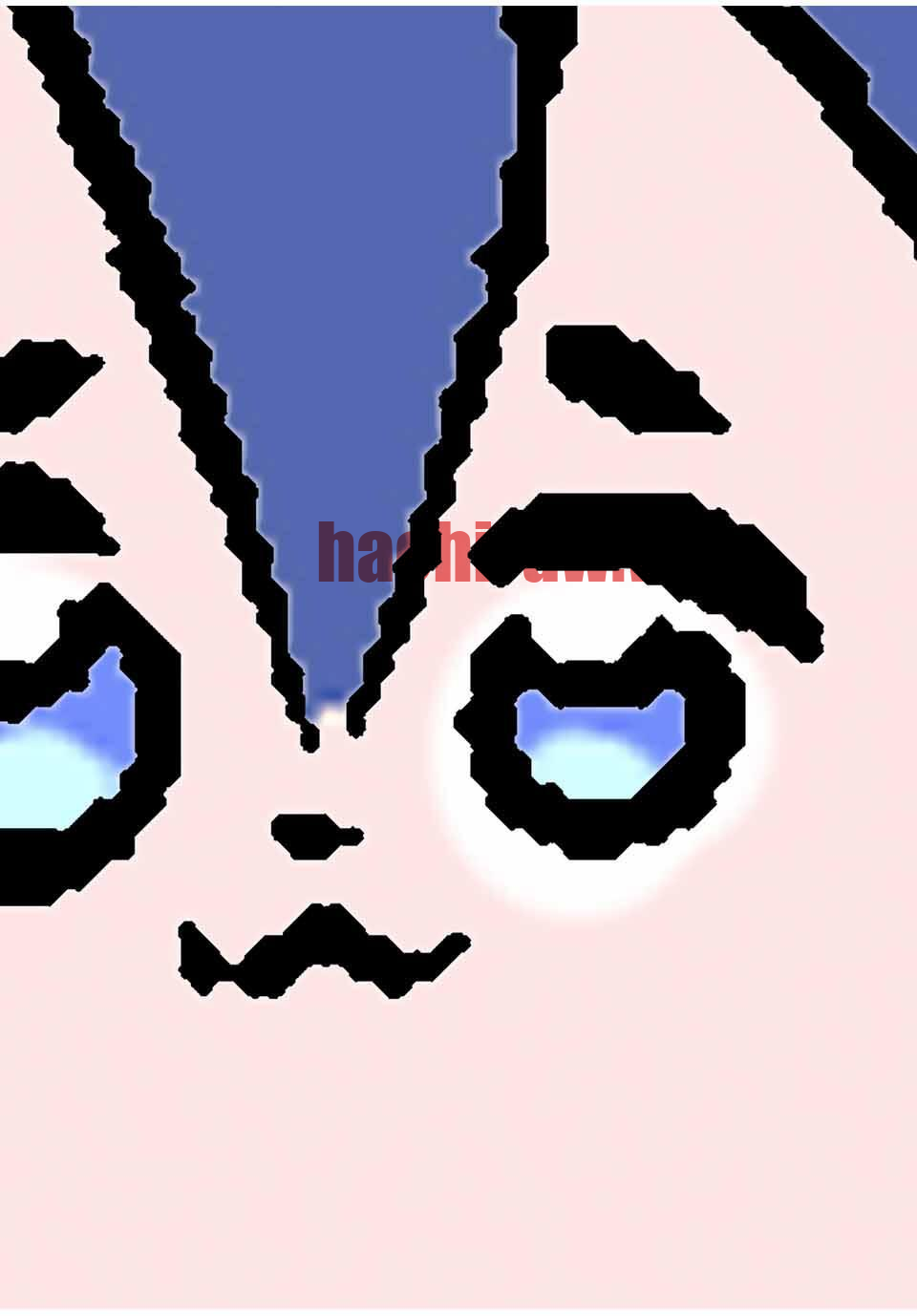img 13