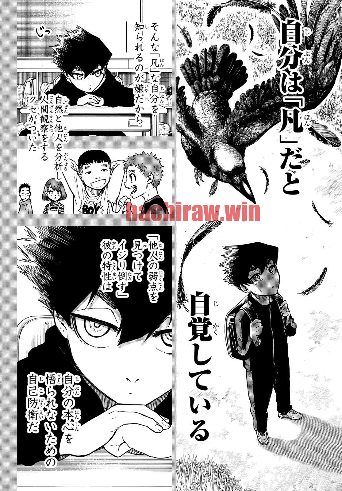 img 12