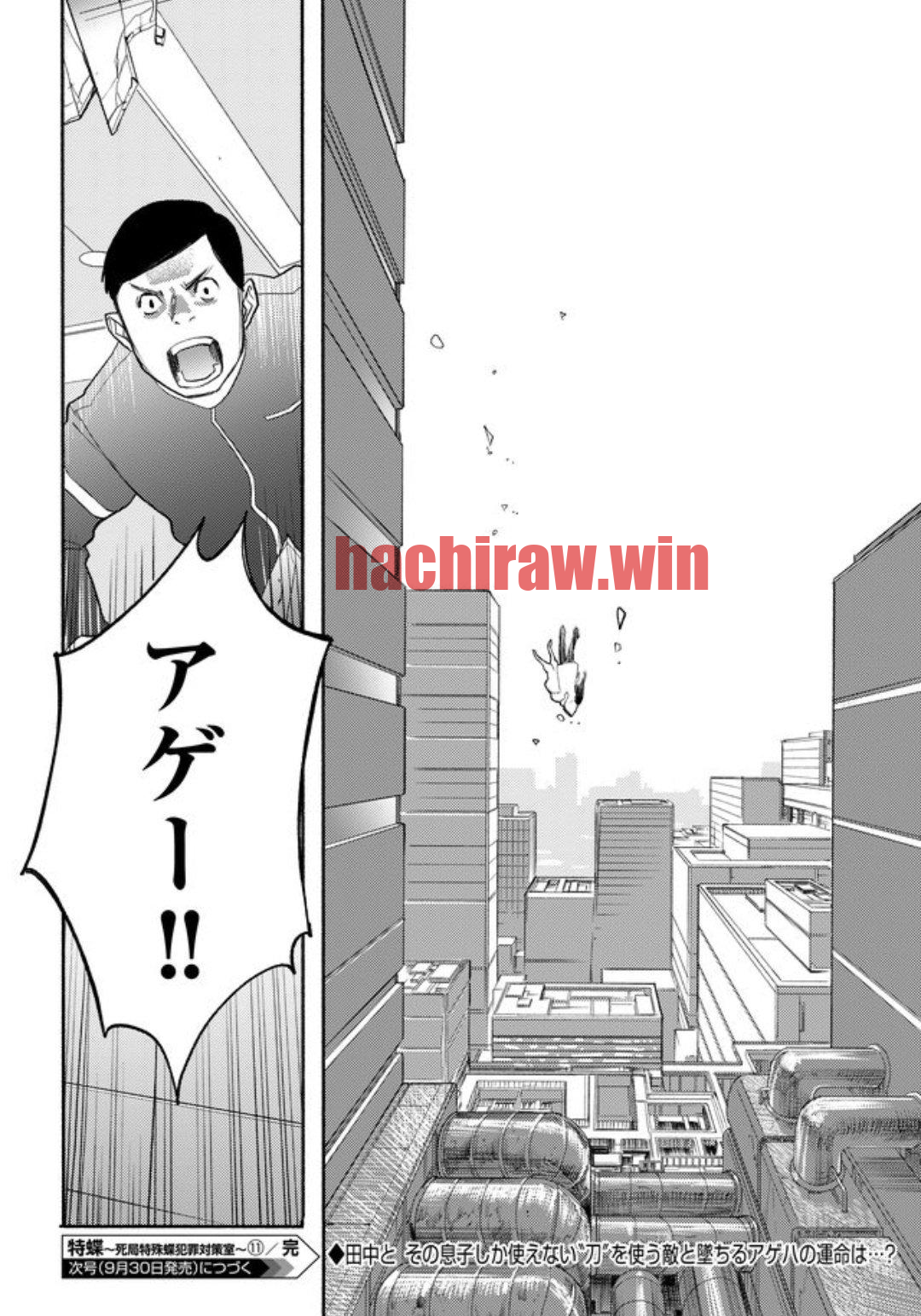 img 29