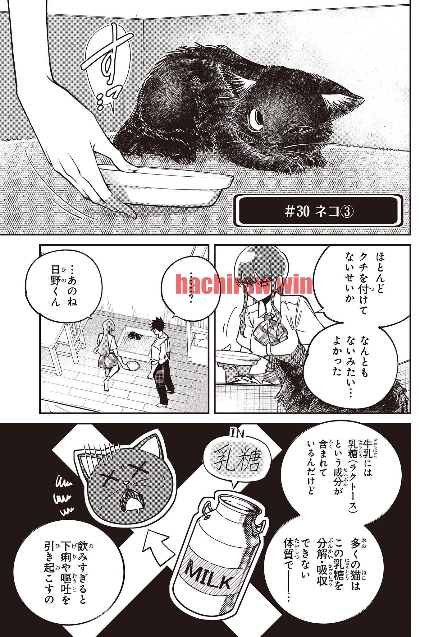 img 8