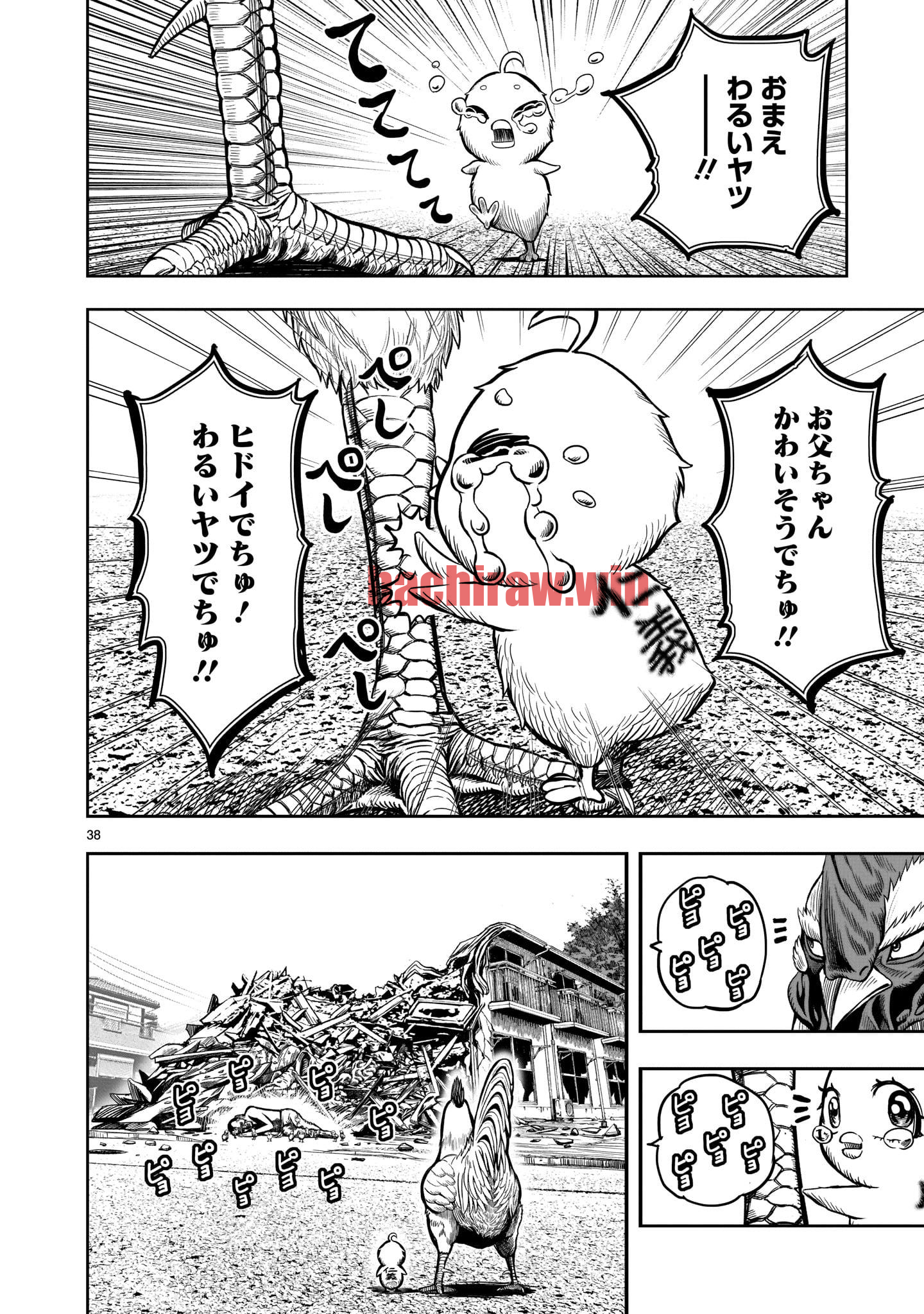 img 37