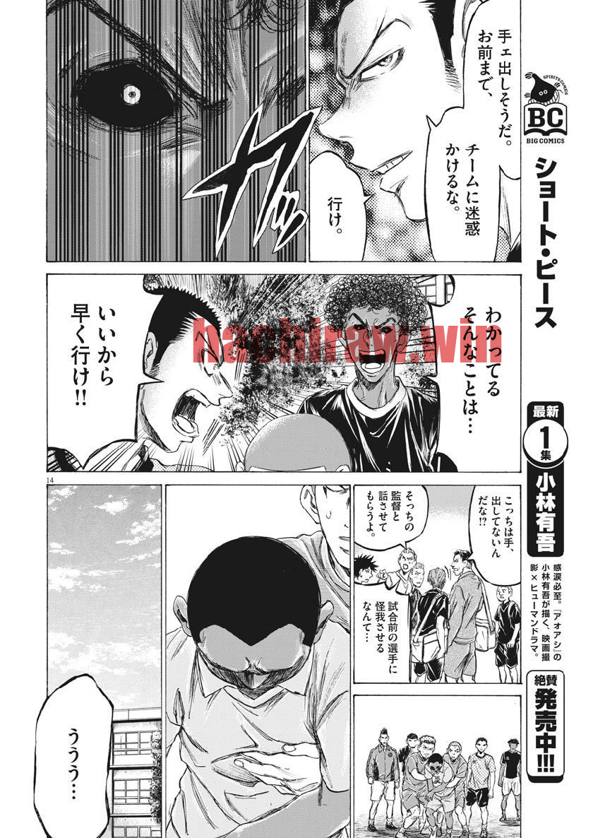 img 13
