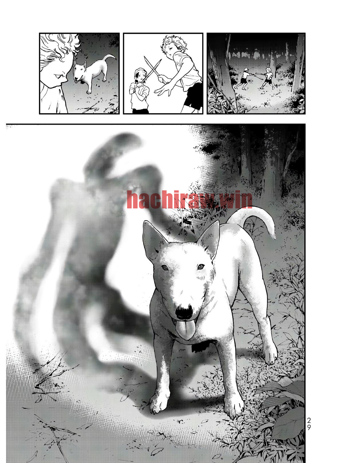 img 26