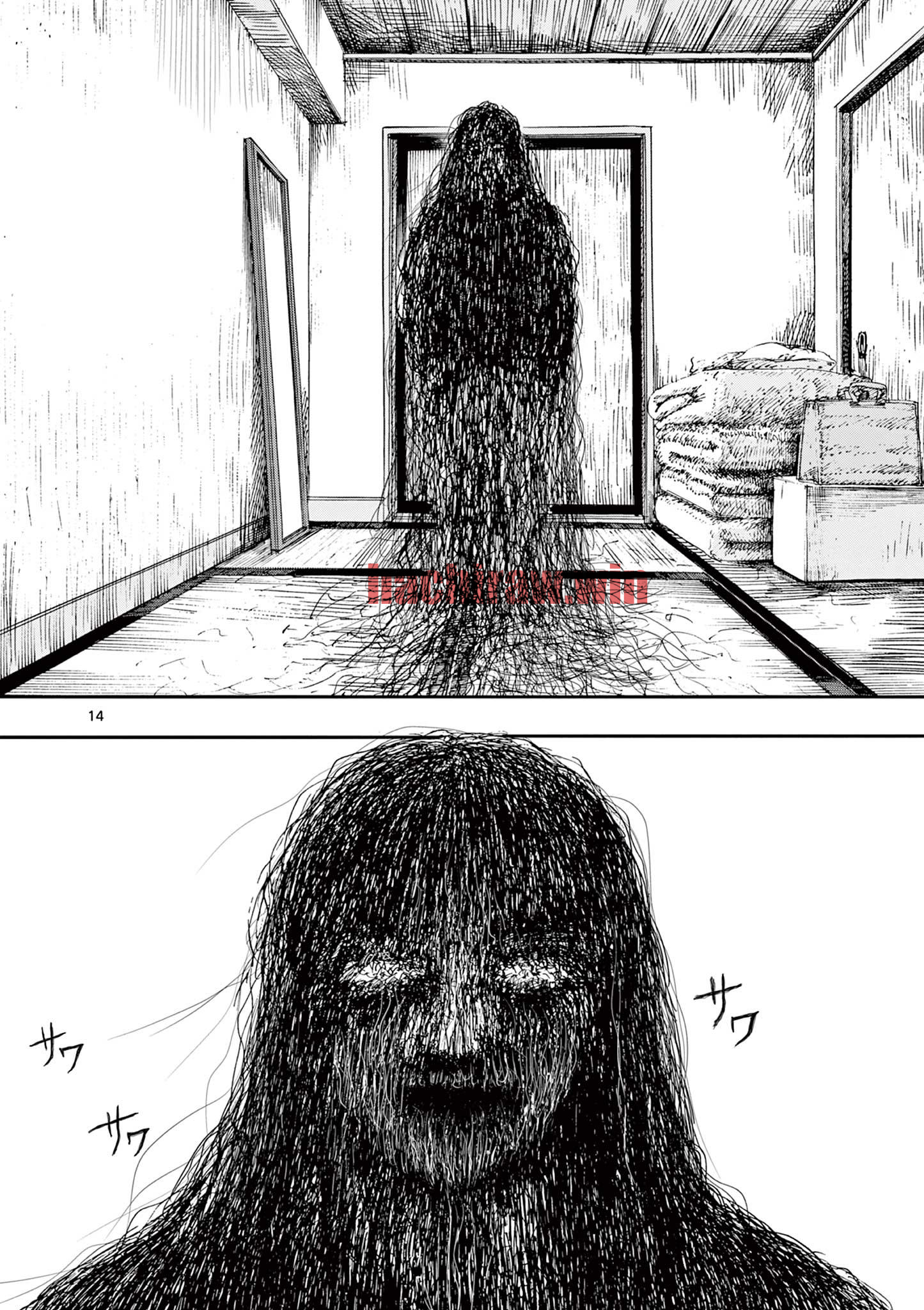 img 13