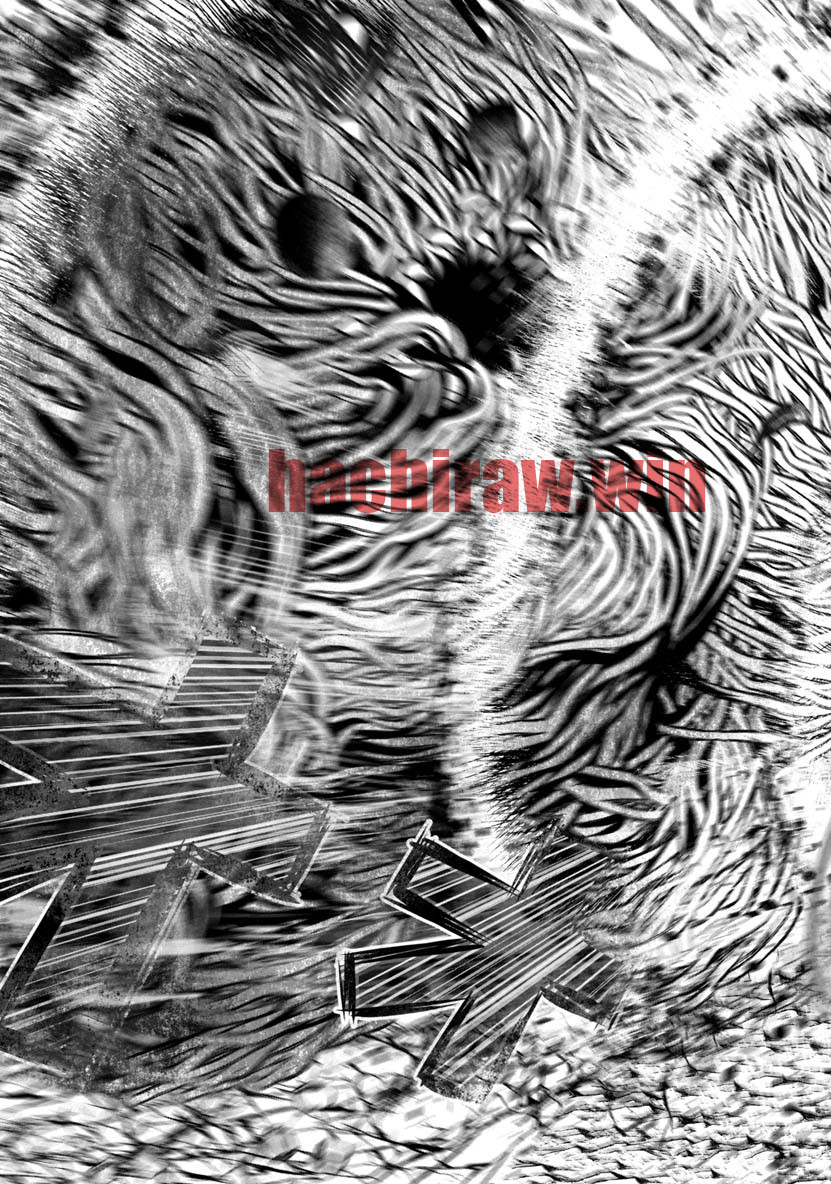 img 13