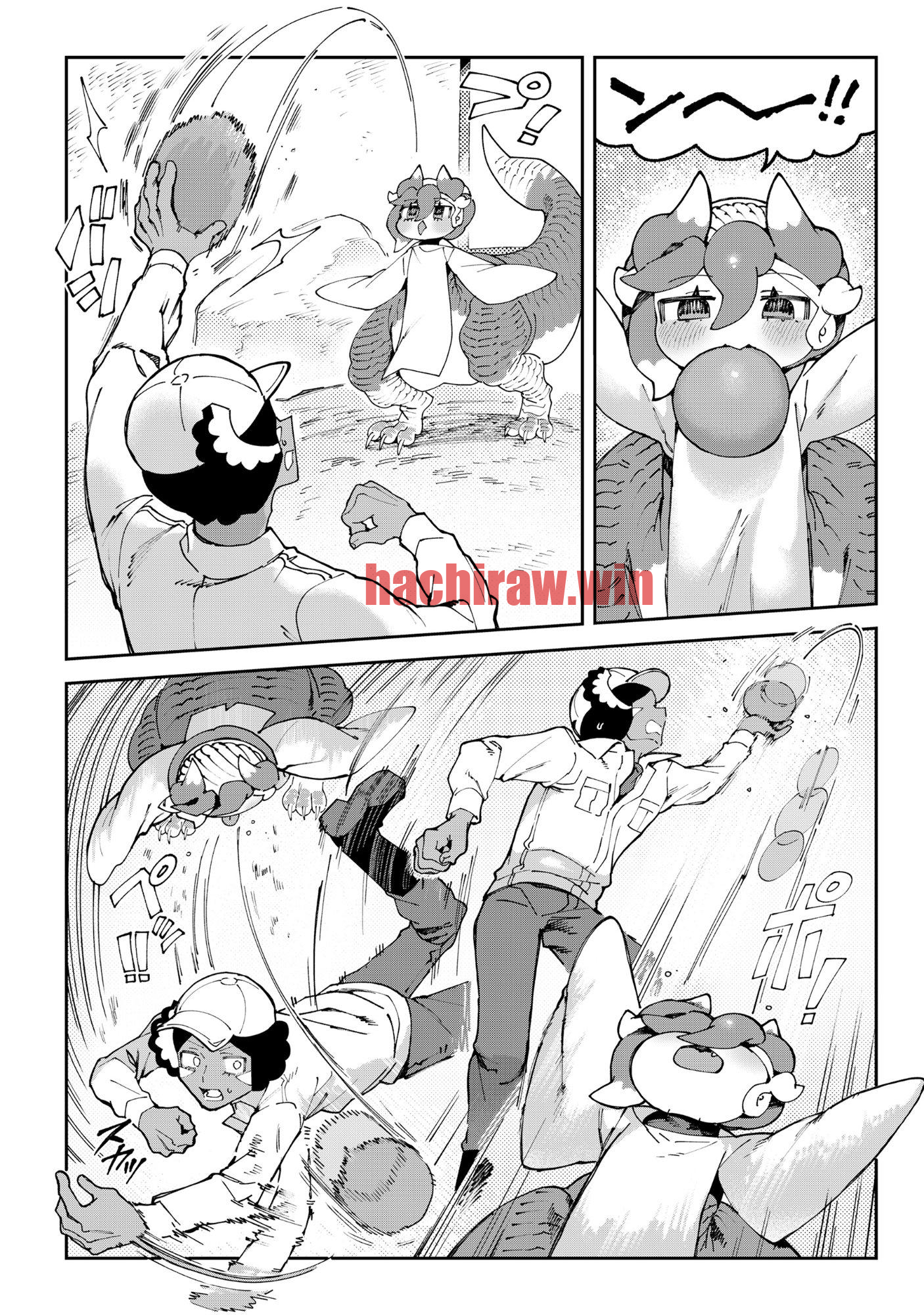 img 16