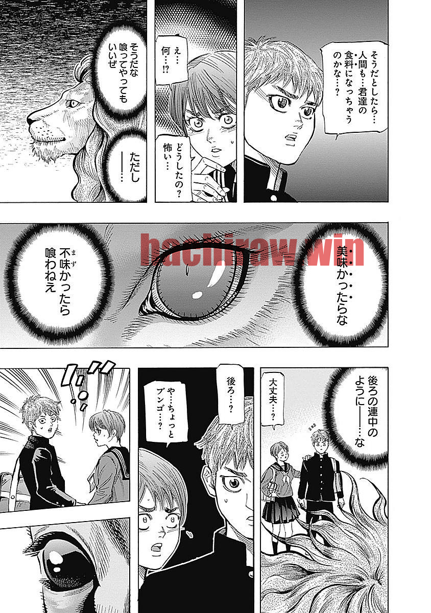 img 6