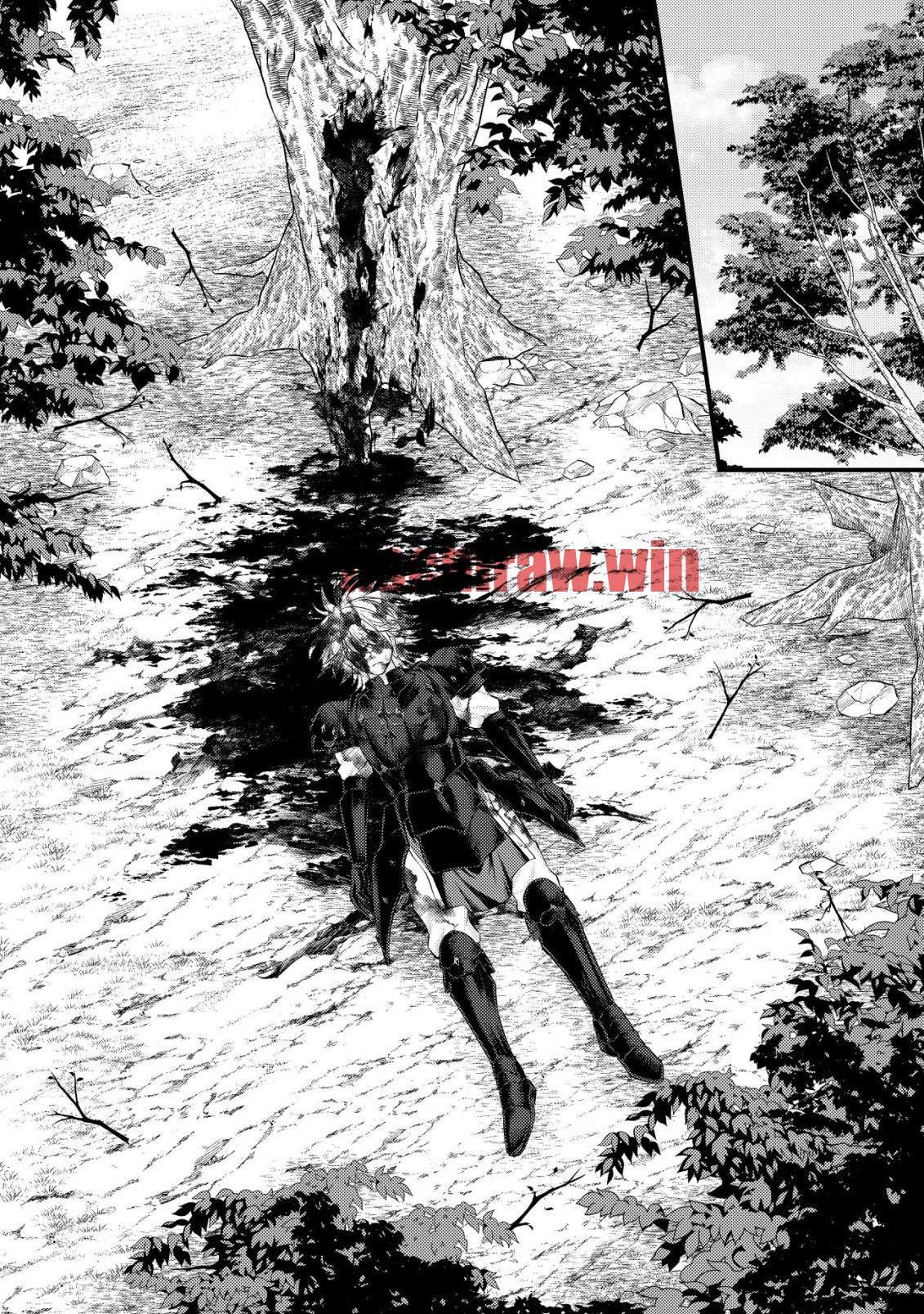 img 12