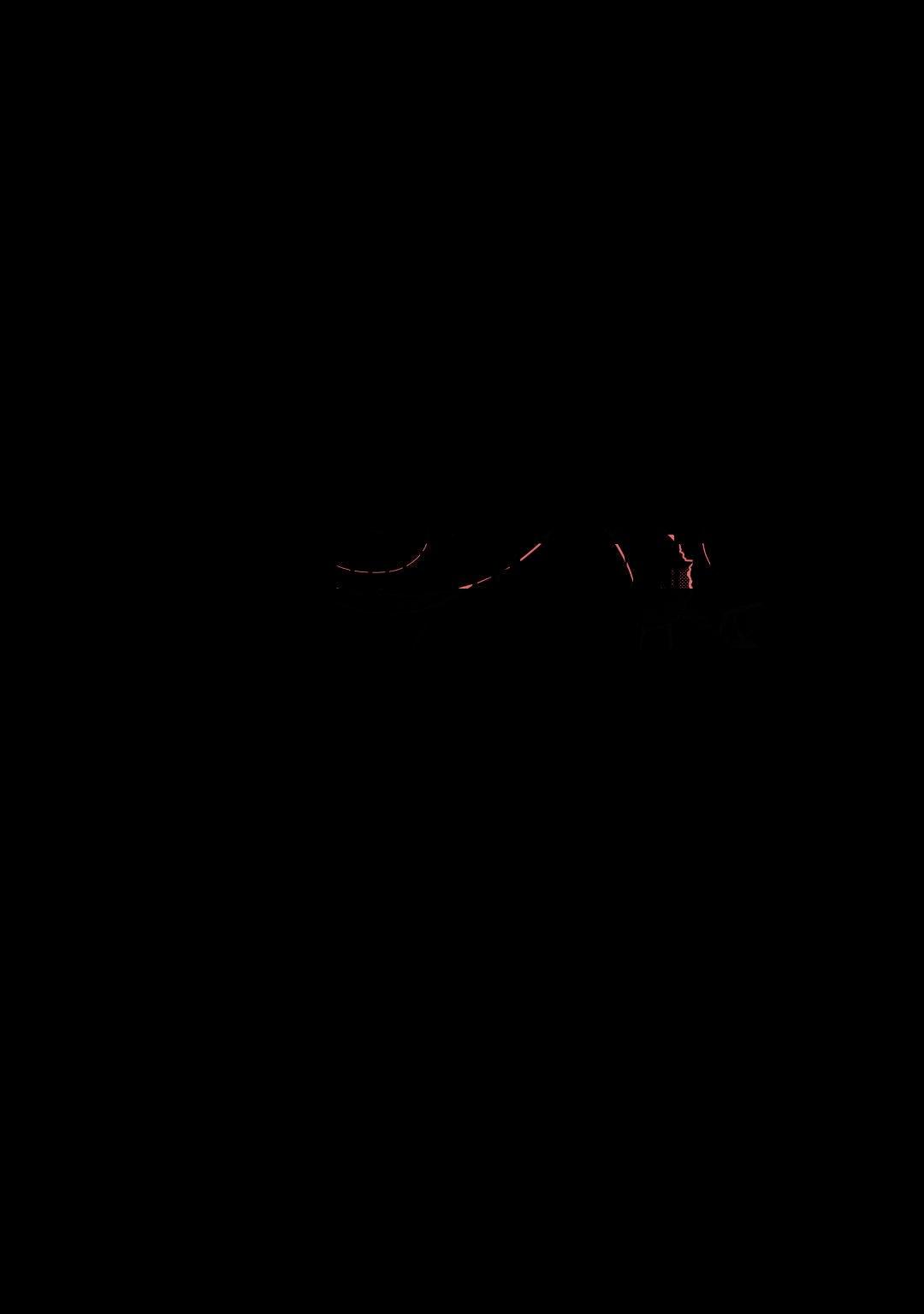 img 12
