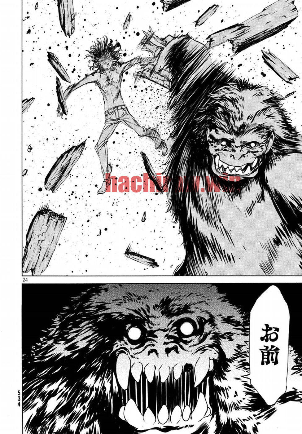 img 23