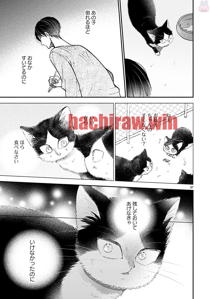 img 8