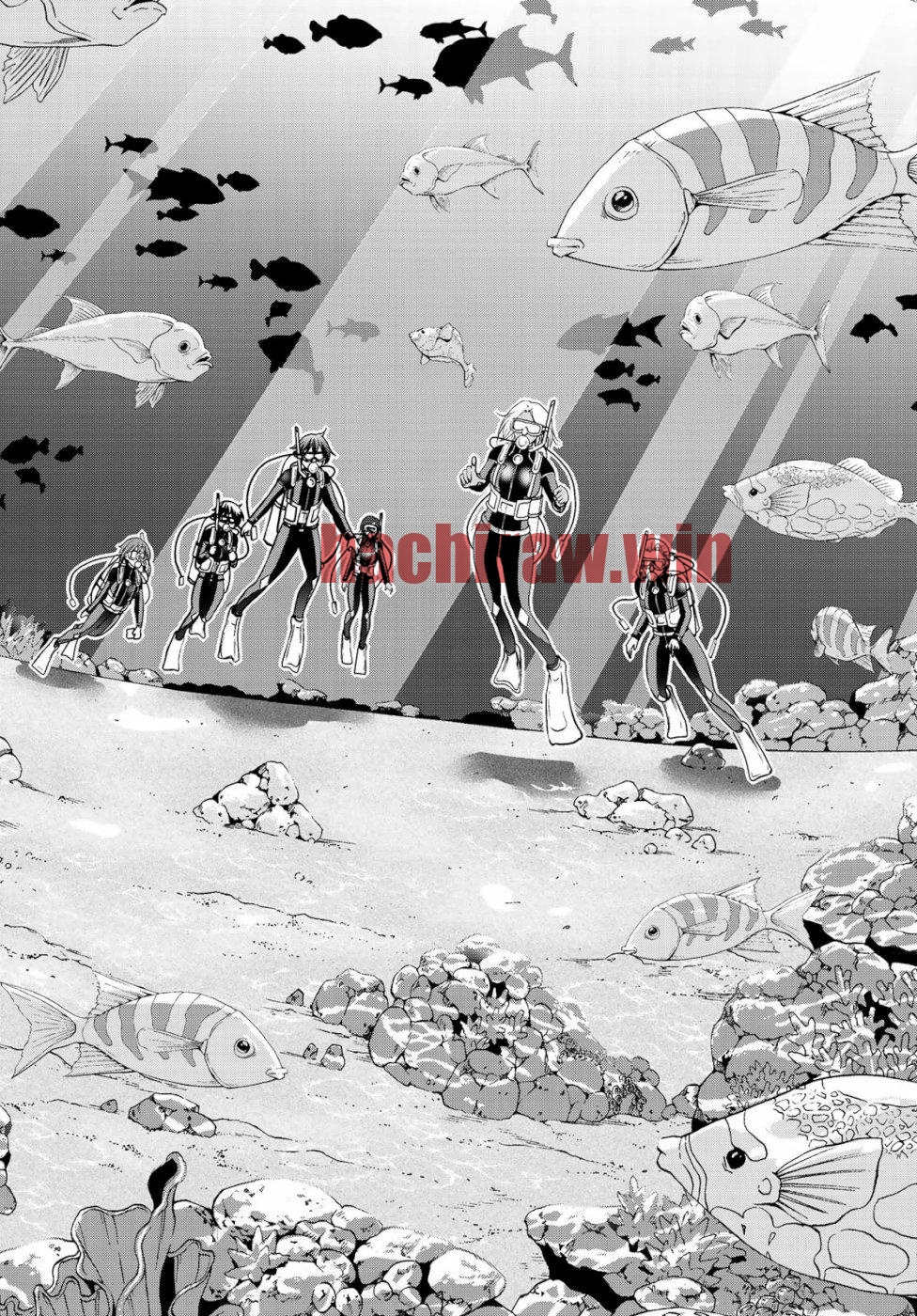 img 29