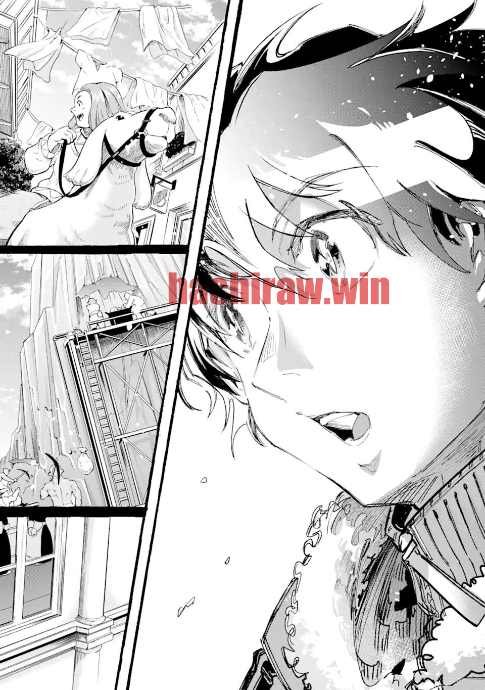 img 13