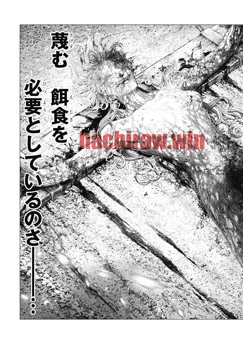 img 22