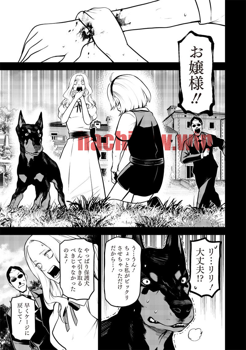 img 10