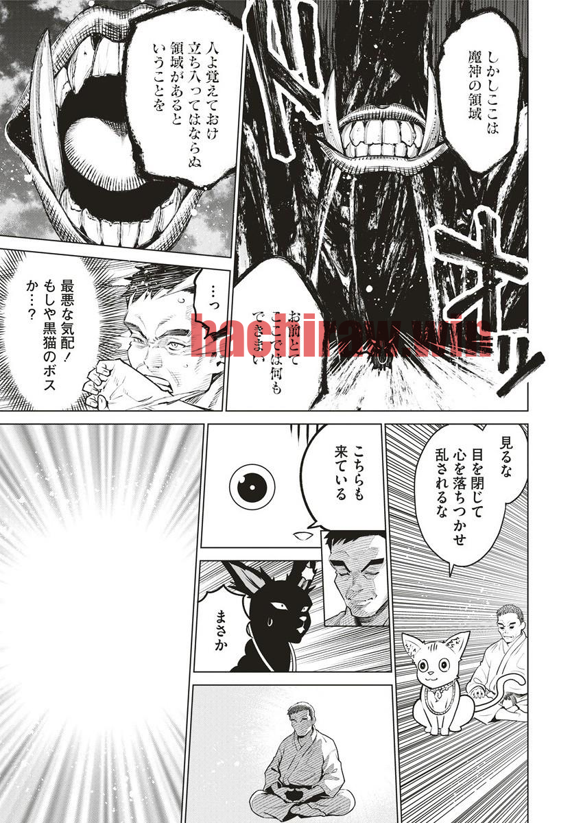 img 4