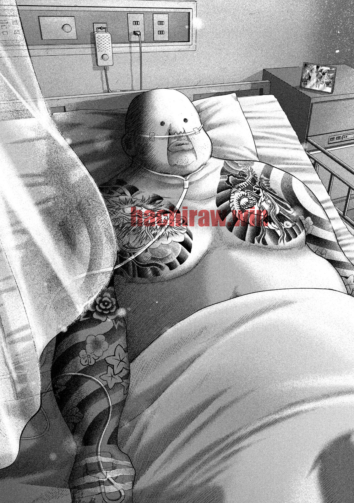 img 18