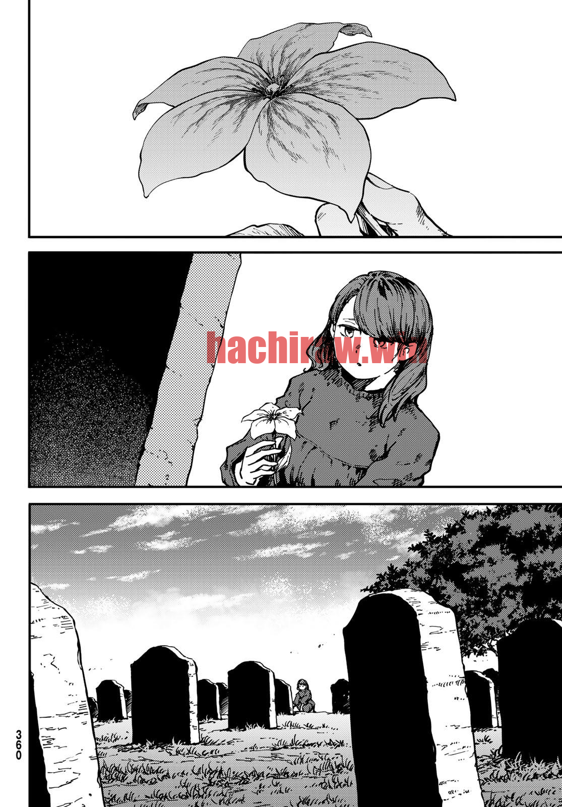 img 12