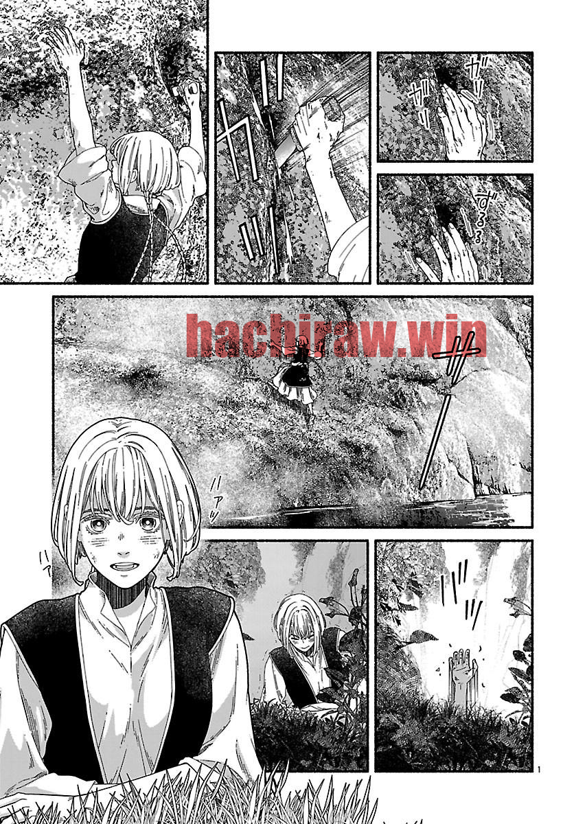 img 5