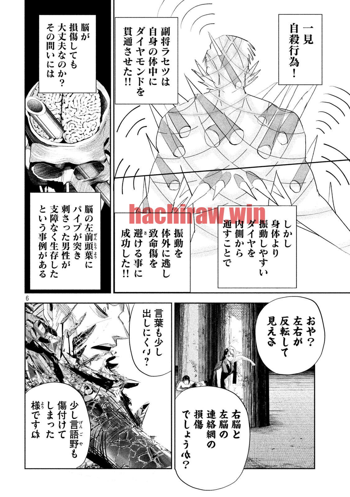 img 5