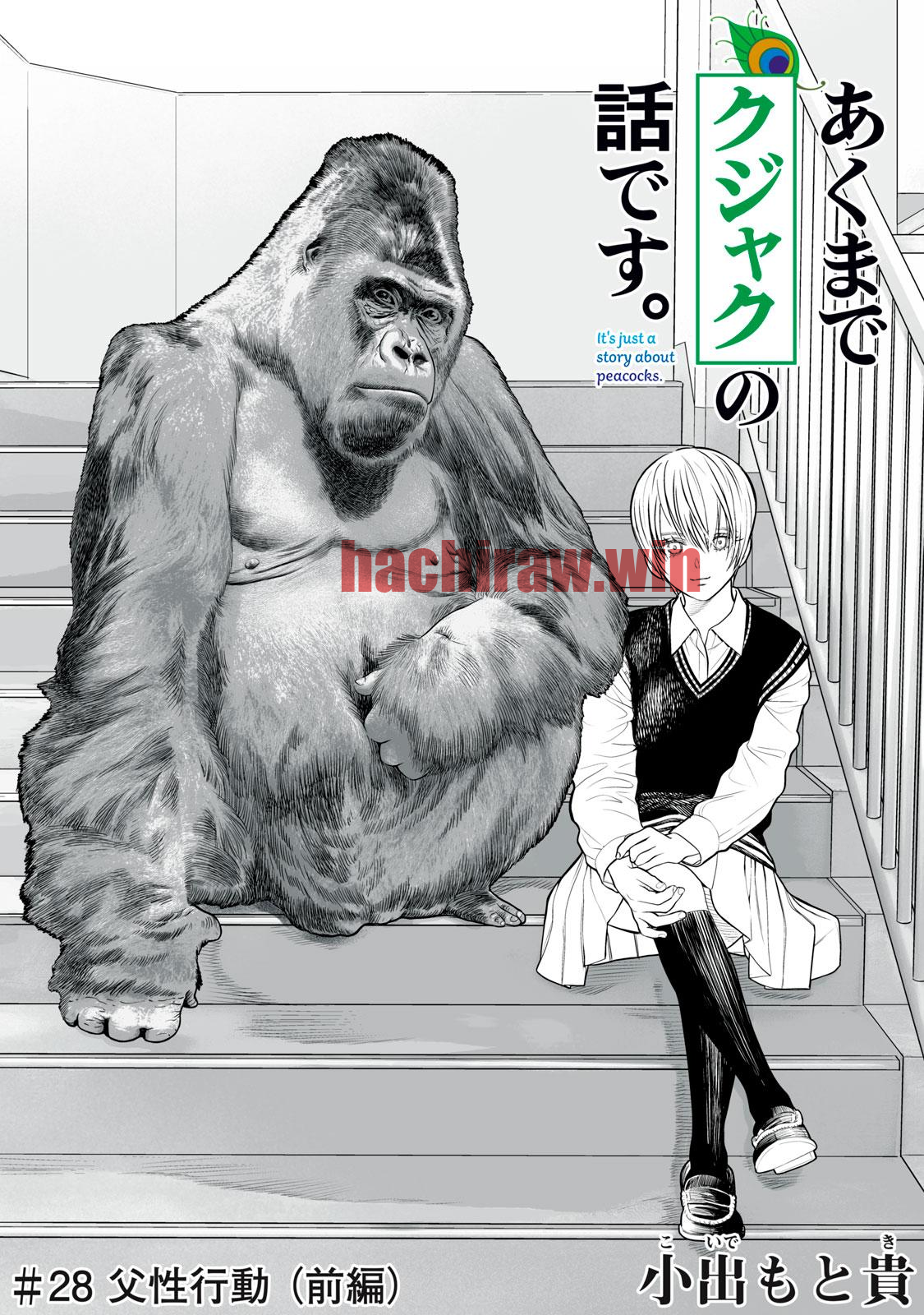 img 0