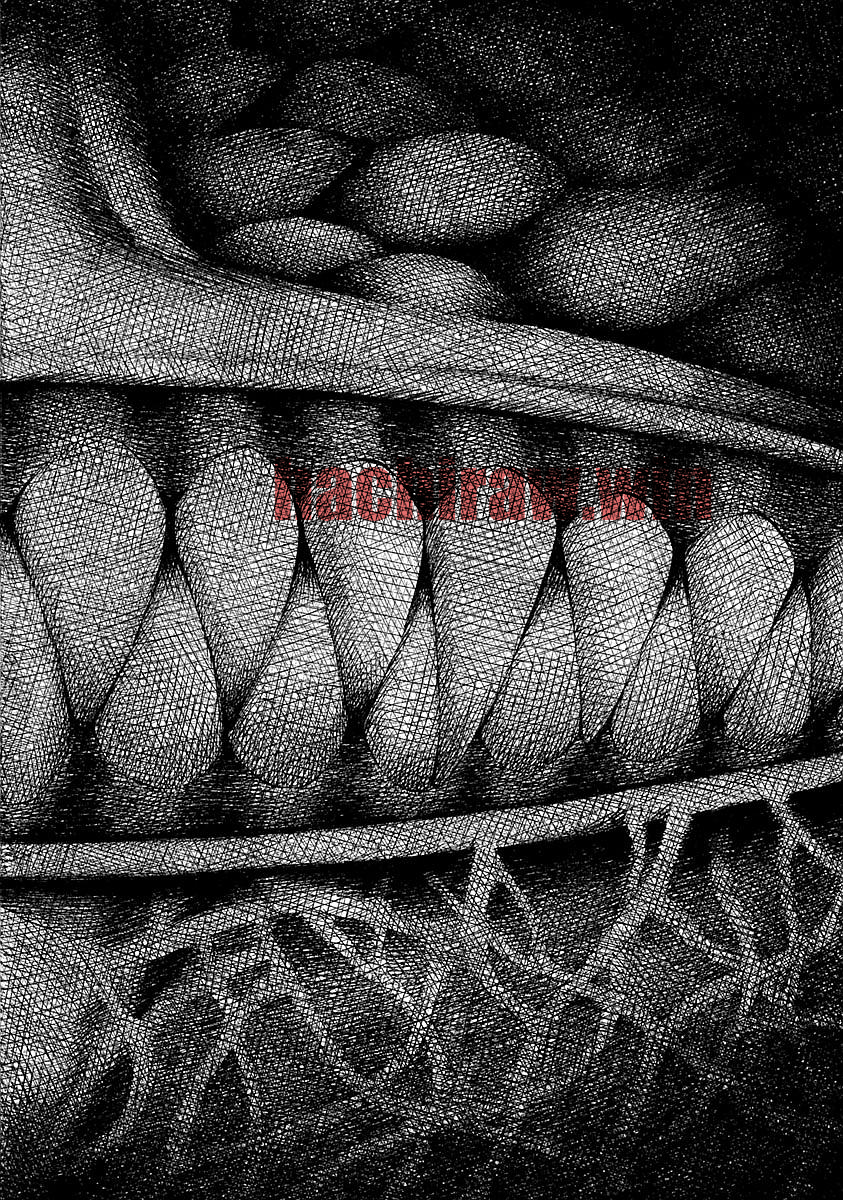 img 5