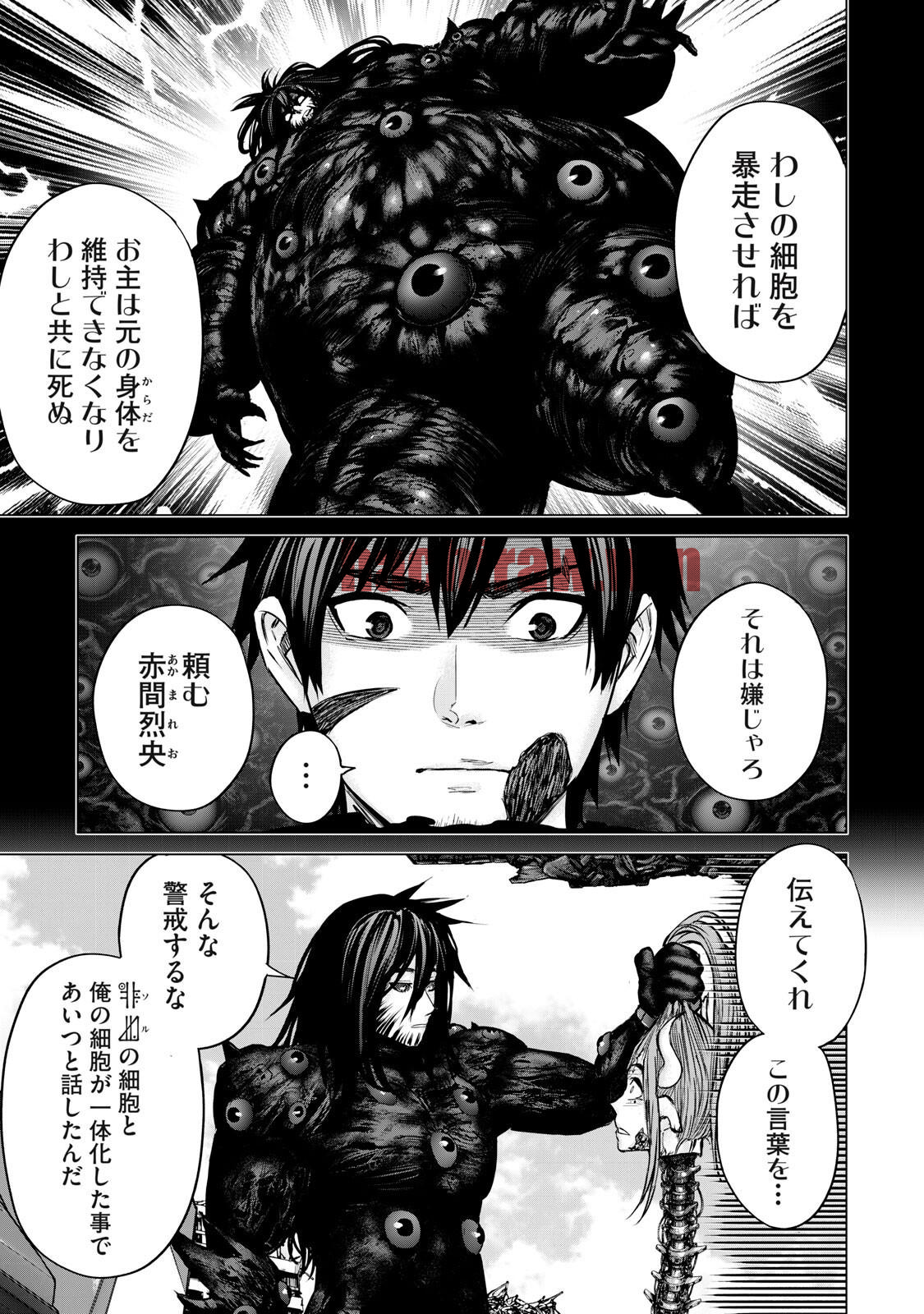 img 3