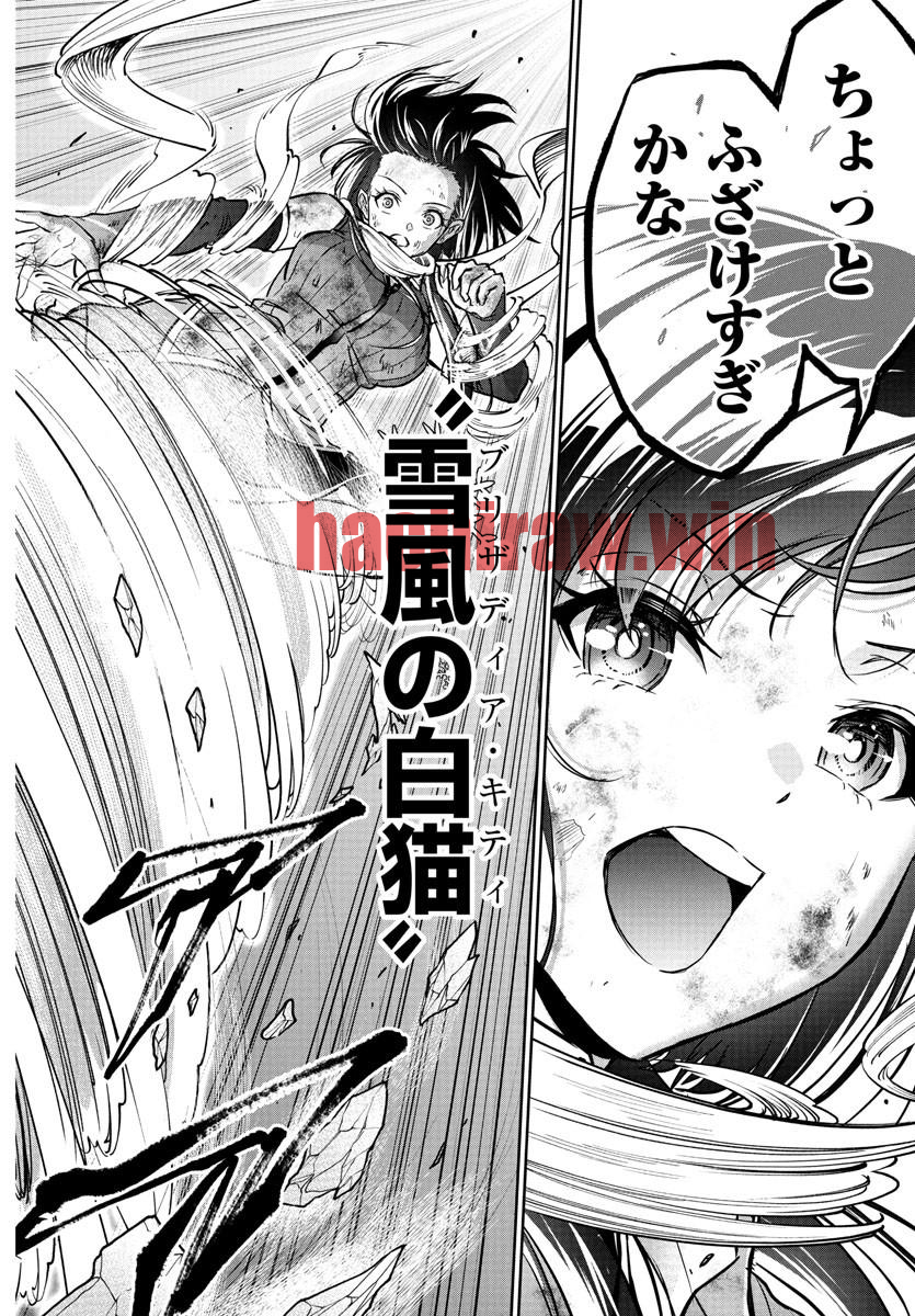 img 13