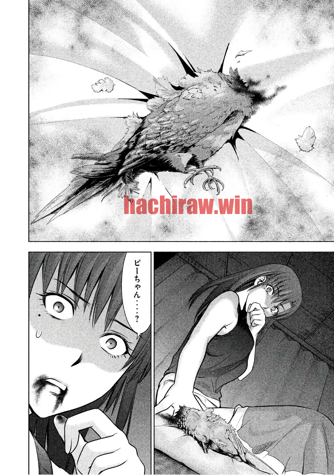 img 19