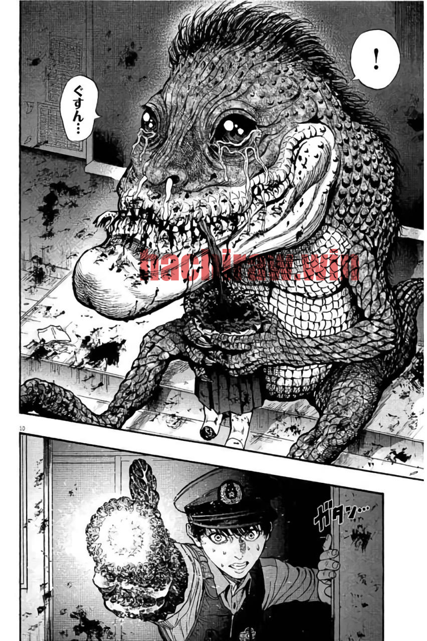 img 9