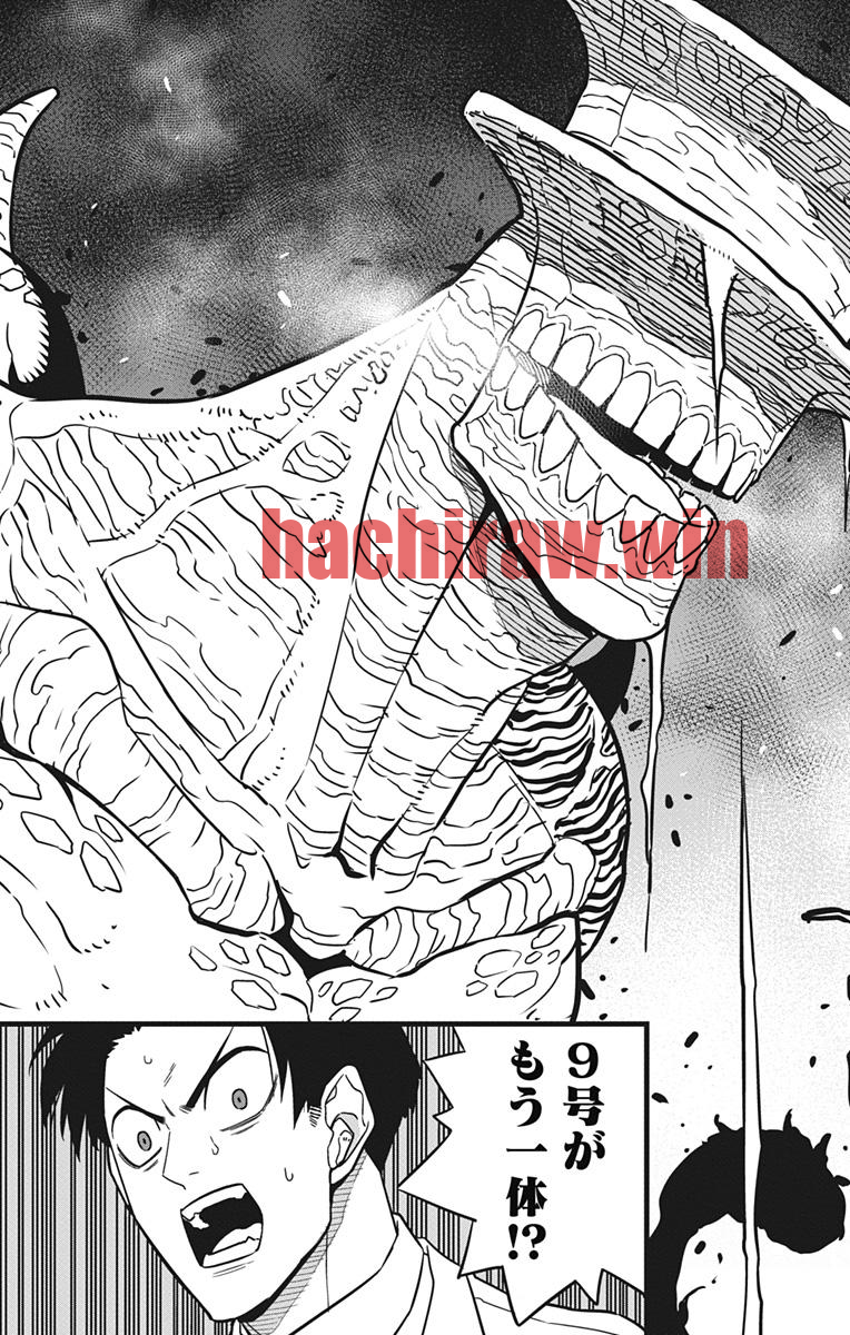 img 8