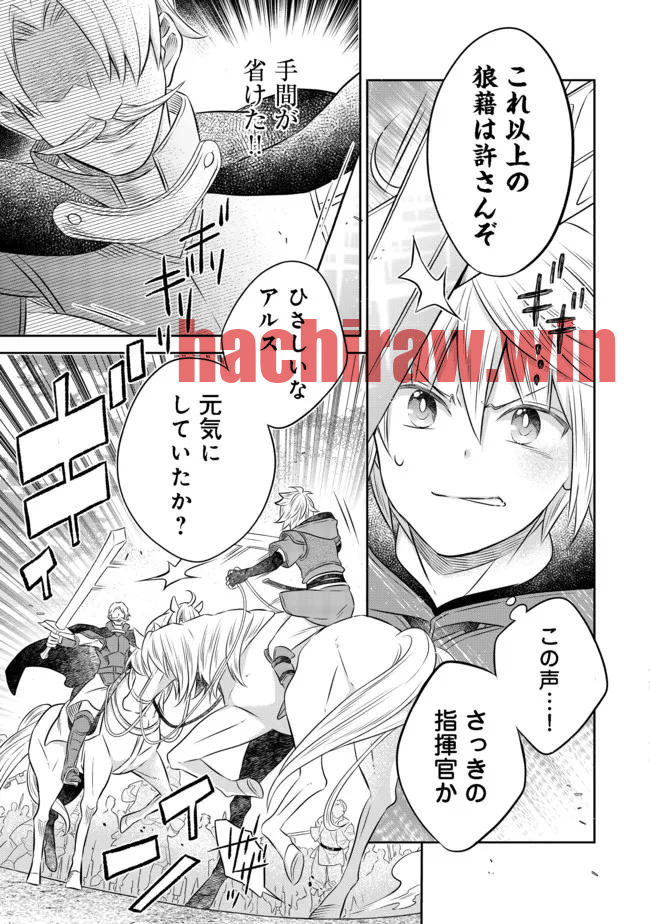 img 13