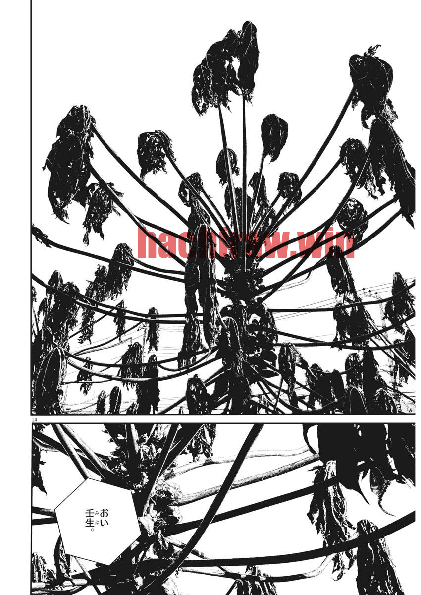img 13