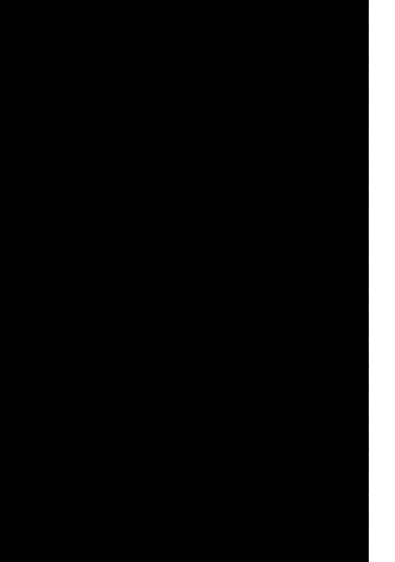 img 25